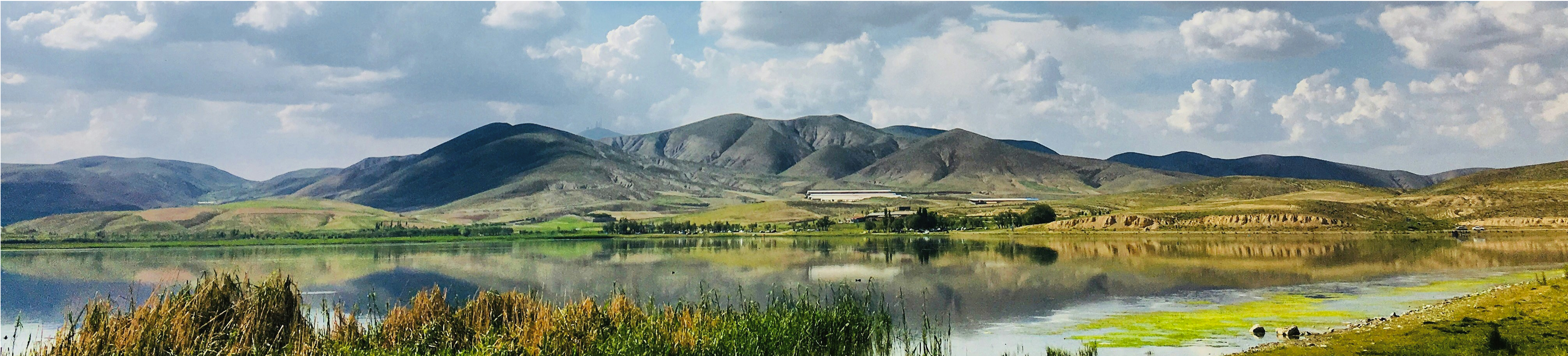 Landscape